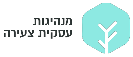 מנהיגות עסקית צעירה